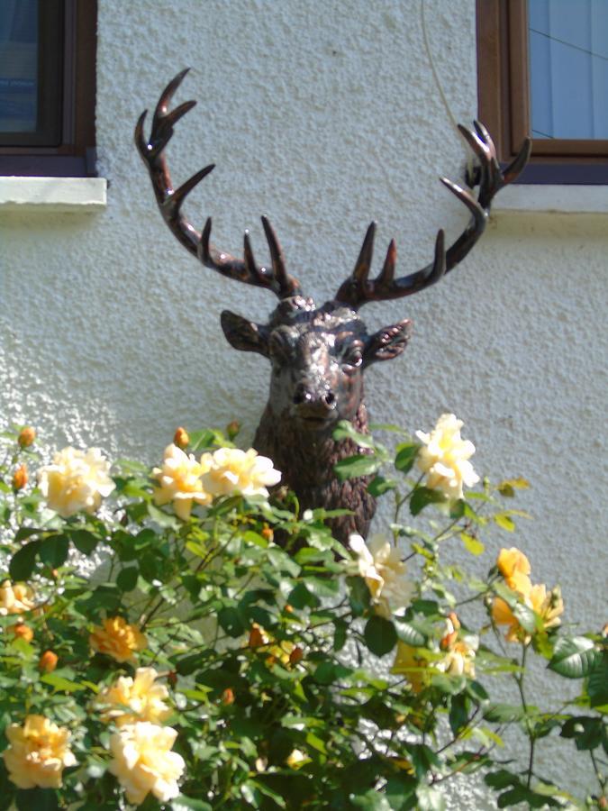 Craik Na Dav B&B Инвърмористън Екстериор снимка